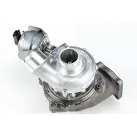 BTS Turbo T915950 Turbocharger