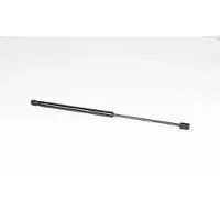 BSG 25-980-006 Gasveer achterklep