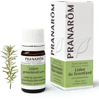 Pranarôm Etherische olie Ledon uit Groenland 5 ml Etherische olie