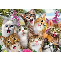 Schmidt Katzen Selfie