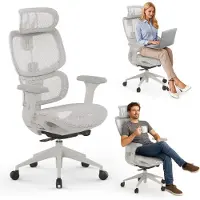 Sense7 Nobu - Bureaustoel - Ergonomisch - Rugleuning van Gaas & 3D-Armleuningen - Draaistoel - FlowTechSwing - Lichtgrijs