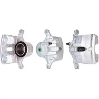 FERODO FCL695675 Remklauw