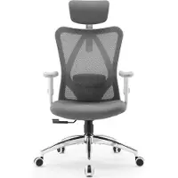Sihoo M18 Ergonomische Bureaustoel - Ademend Mesh - Verstelbare Hoofd&Lendensteun - Bureaustoelen voor Volwassenen tot 150kg - Kantoor/Thuis/Gaming - Grijs
