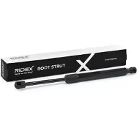 RIDEX 219G1714 Gasveer achterklep