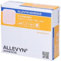 Allevyn Smith & Nephew Classic Klevend Hydrocellulair Verband 7,5 x 7,5 cm 66800009 10 St Pleister