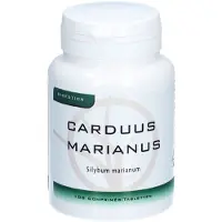 Dynarop Carduus Marianus 100 St Tabletten
