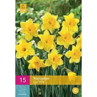 Jub holland - bloembollen - Narcissen Carlton - maat 12/14 - 15 stuks