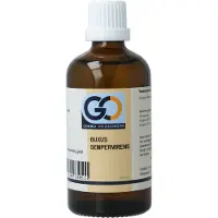 Go Buxus sempervirens bio