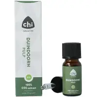 CHI Duindoorn pulp complex CO2 bio