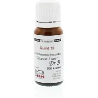 Dnh Quint 13 BMYD 200 stuks