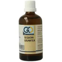 Go Sequoia gigantea bio