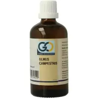 Go Ulmus campestris bio