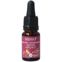 La Drome Bloemessence walnut bio