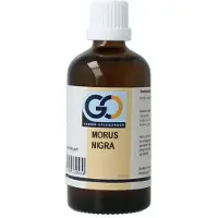 Go Morus nigra bio