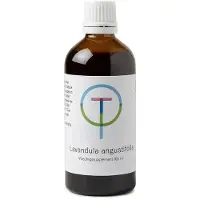 Therapeutenwinkel Lavendula angustfolia 100 ml