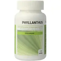 Ayurveda Health Phyllanthus niruri