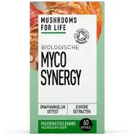 Mushrooms 4 Life Myco synergy bio