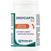 Nutergia Ergycartil Flex | 90 capsules