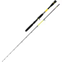 Black Cat Perfect Passion X Casting Catfish Rod Zilver 2.20 m