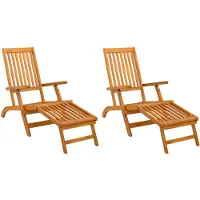 vidaXL Ligstoel die kan leunen en vouwen 2 pcs 55 x 146 x 91 cm
