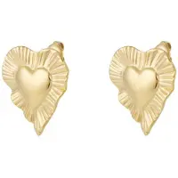 Yehwang Stralend hart oorbellen - Yewang - Goudkleurig