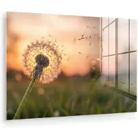 MuchoWow Glasschilderij 180x120 cm - Schilderij acrylglas - Paardenbloem - Zonsondergang - Veld - Foto op glas - Muurdecoratie woonkamer - Wanddecoratie slaapkamer - Schilderijen