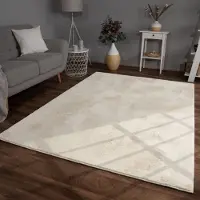 TT Home Woonkamer hoogpolig tapijt imitatiebont moderne effen kleuren pluizig zacht