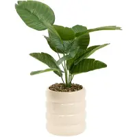 Atmosphera Kunstplant Poolside Strelitzia met keramieken pot - Ø14xH45cm - Wit