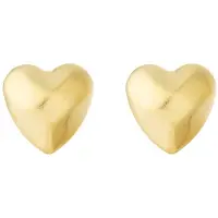 Yehwang Goudlief Sweetheart oorbellen - Roestvrij staal - Verkleurt niet - Goudlief.nl