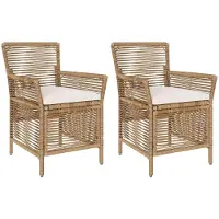 vidaXL Buitenzit 2 st Beige en Crème poly rattan