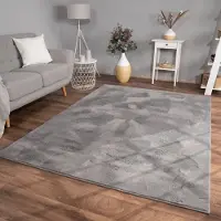 TT Home Woonkamer hoogpolig tapijt imitatiebont moderne effen kleuren pluizig zacht