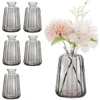 Unyqoos Set van 6 decoratieve mini glazen vazen voor elegante tafeldecoratie