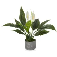 Unyqoos Groenblijvende kunstplant met witte bloemen voor binnen en buiten decoratie