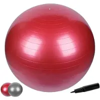Unyqoos Veilige en Milieuvriendelijke Gymnastiekbal van 65 cm voor Thuisgebruik, Kantoor en Fitnessstudio