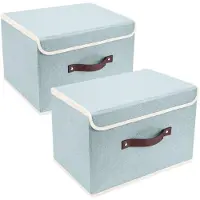 Unyqoos Opvouwbare Stoffen Opslagboxen met Deksel, Wasbaar en Ruimtebesparend, 38x25x25 cm, Set van 2, Aqua Spring
