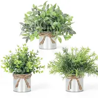 Unyqoos Kunstplanten, set van 3 – realistische decoratieplanten, groen, 20 cm in metalen pot, gemakkelijk te onderhouden, geschikt voor binnen en buiten