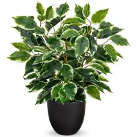 Unyqoos Decoratieve kunstplant ficus in pot voor elke ruimte en interieurstijl