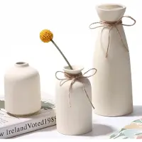 Unyqoos Set van drie stijlvolle keramische vazen voor moderne en boho interieurs