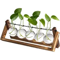 Unyqoos Desktop Glazen plantenplantenvaas, tafelplantenterrarium met retro massief houten standaard en metalen draaihouder voor hydrocultuurplanten, huis, tuin, kantoor, decoratie, 5 lampen vaas