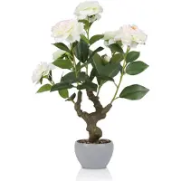 Unyqoos Kunstplant kamelia in terracotta pot – realistische decoratieve kamelia met witte bloemen, een rubberen stam en kleurvaste stoffen bladeren, 34x30x51 cm, geschikt voor huis en kantoor