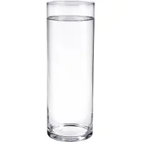 Home & Styling Bloemenvaas - Cilinder vorm - transparant - glas - 15 x 50 cm - rechte cilinder - boeketten - sierrtakken