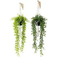 Unyqoos Set van 2 realistische kunstplanten die als hangplanten gebruikt kunnen worden, onderhoudsvrij en UV-bestendig – Decoratie voor binnen en buiten (balkon, woonkamer, kantoor)