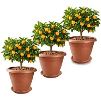PlasticForte 3x plantenpot met opvang schaal - terracotta - rond - D45 x H38 cm - kunststof - buiten - tuin - bloempot