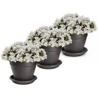 PlasticForte 3x plantenpot met opvang schaal - antraciet - rond - D20 x H15 cm - kunststof - buiten - tuin - bloempot