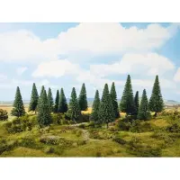 Noch 0024642 Set bomen Zilverspar 140 tot 180 mm Donkergroen 6 stuk(s)