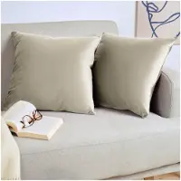 Unyqoos Set van 2 Luxe Fluwelen Kussenslopen 45 x 45 cm met Verborgen Ritssluiting, Taupe