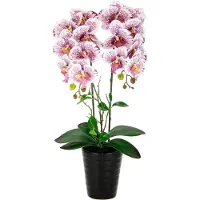 Unyqoos Kunstmatige Orchidee in Pot Kunstmatige Orchidee Bloem Kunstbloemen Kunstmatige Orchidee Kunstmatige Orchidee Phalaenopsis Kunstplant Als Echte Bruiloftdecoratie Zijden Bloem Real Touch Bloem Tafel