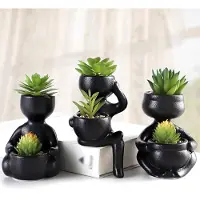 Unyqoos Creatieve Miniatuur Kamerplanten in Unieke Menselijke Vormen – Set van 3