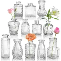 Unyqoos Set van 12 glazen mini vazen voor stijlvolle tafeldecoratie en cadeau-ideeën