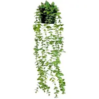 Unyqoos Realistische hangende kunstplanten met eucalyptusbladeren voor binnen en buiten